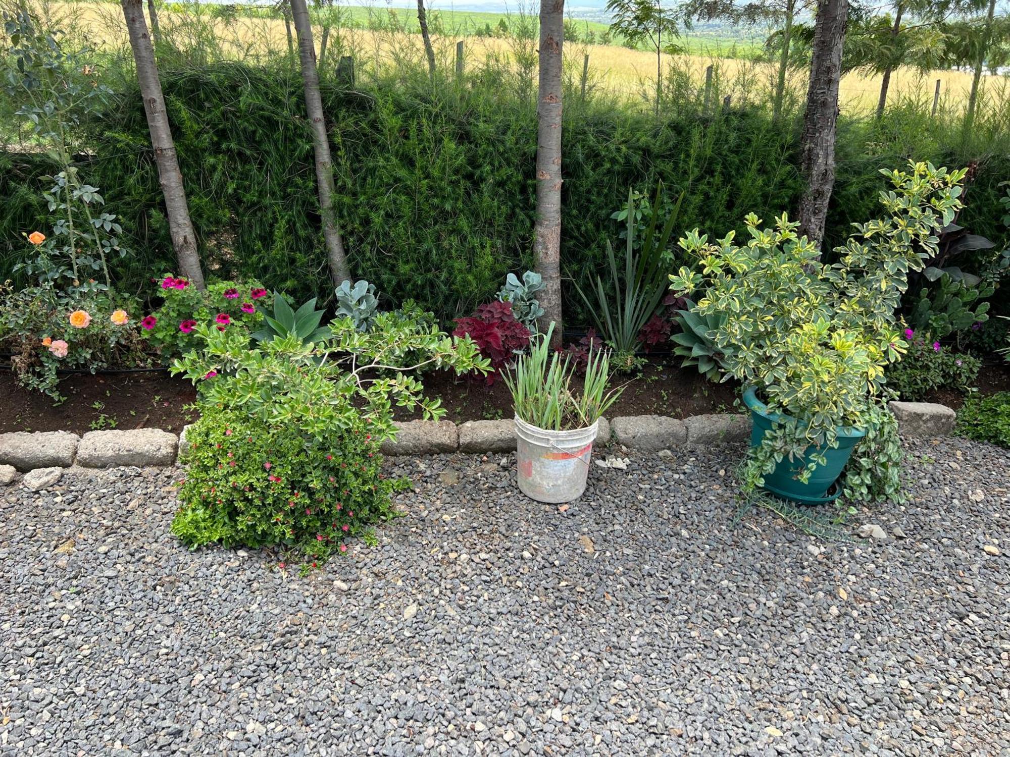 Homestay The Fairway Nyeri