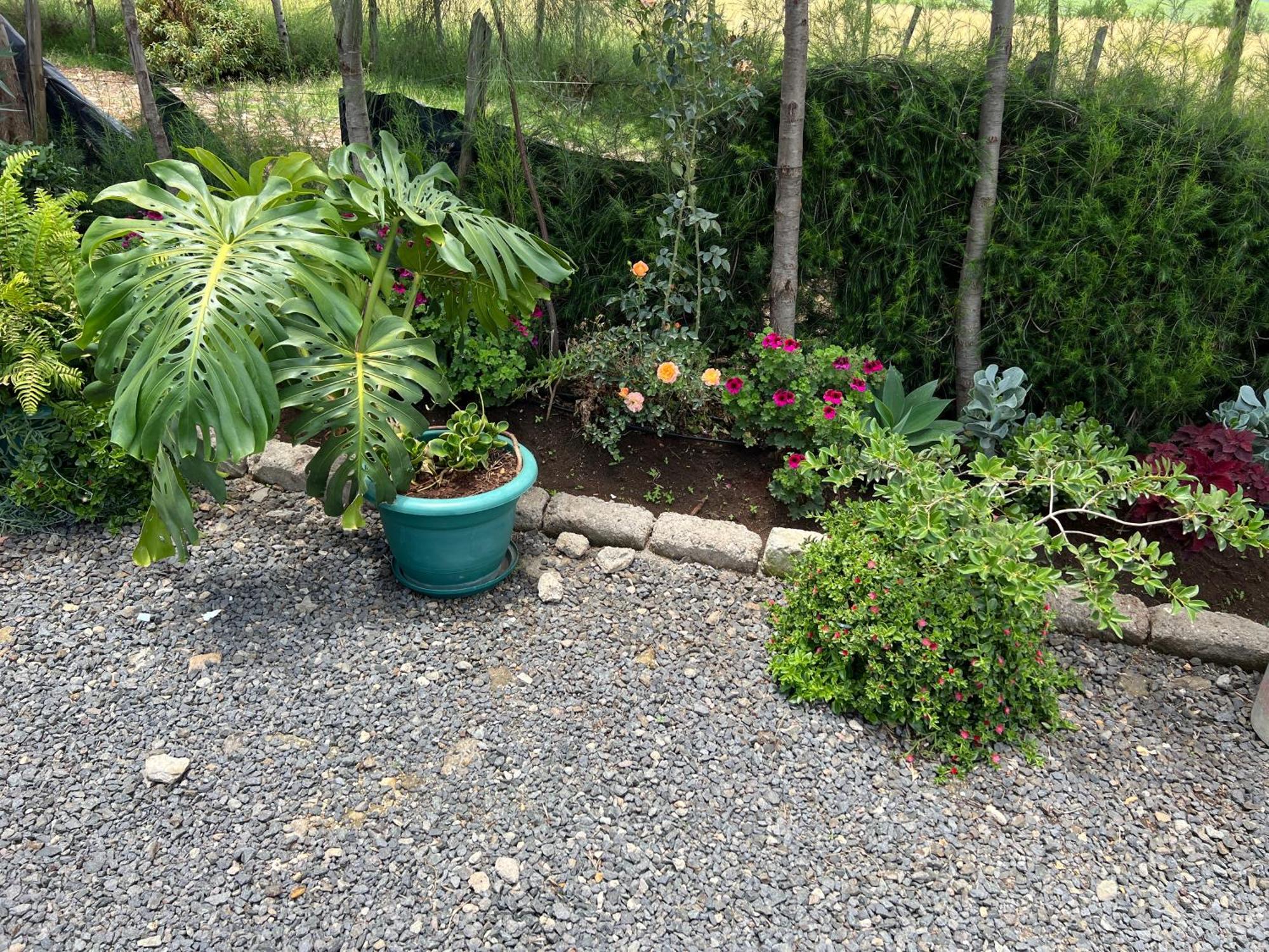 The Fairway Homestay *