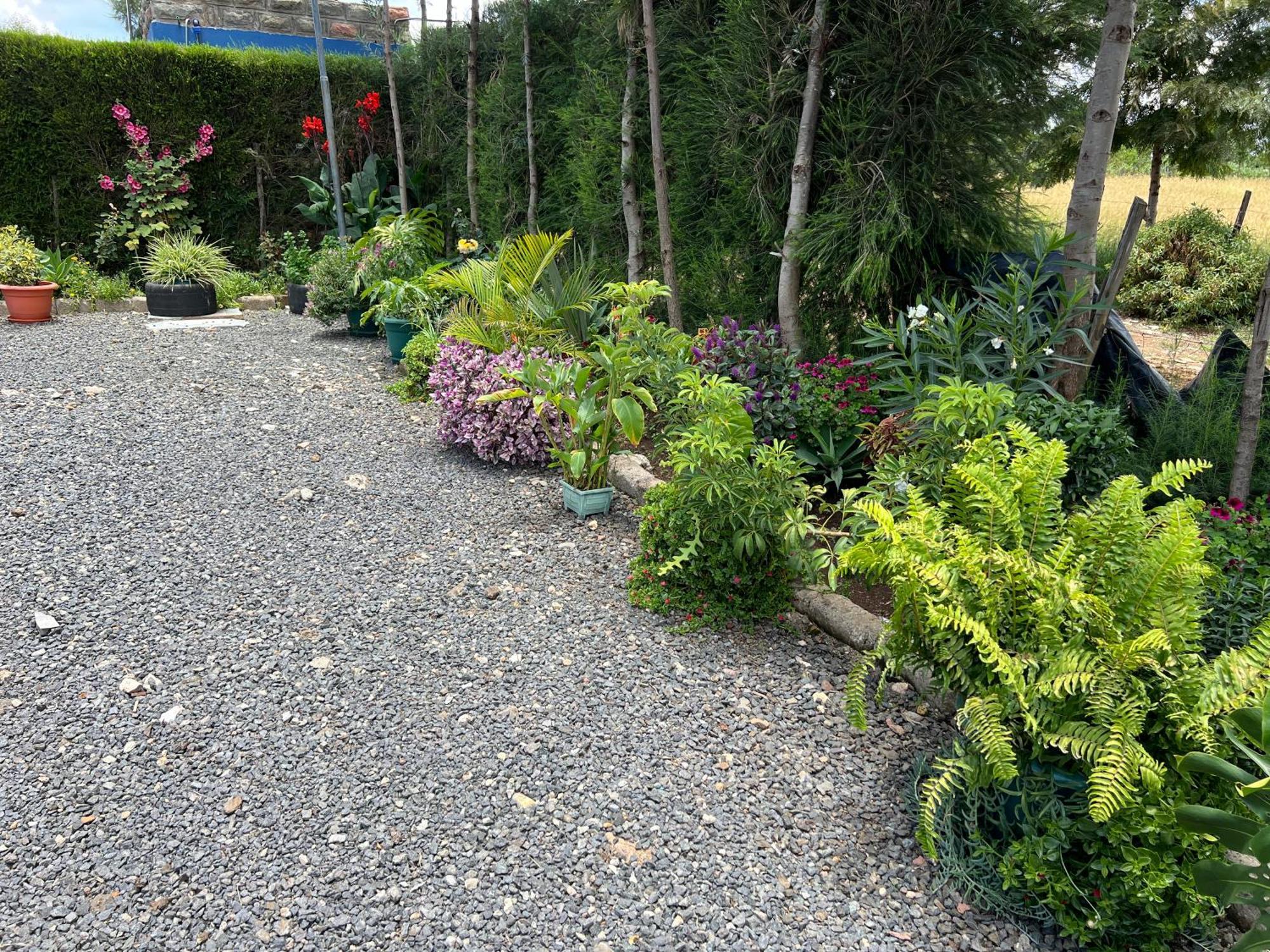 The Fairway Homestay